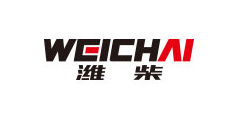 伟德BETVlCTOR1946·(中国)科技有限公司